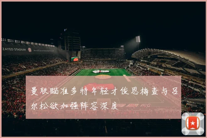 曼联瞄准多特年轻才俊恩梅查与吕尔松欲加强阵容深度