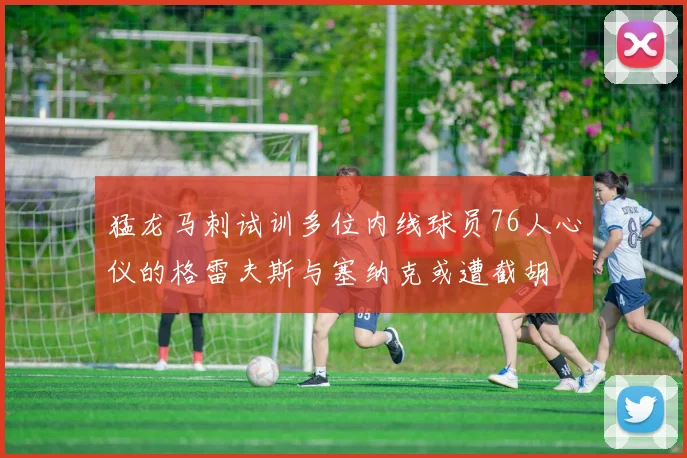 猛龙马刺试训多位内线球员76人心仪的格雷夫斯与塞纳克或遭截胡