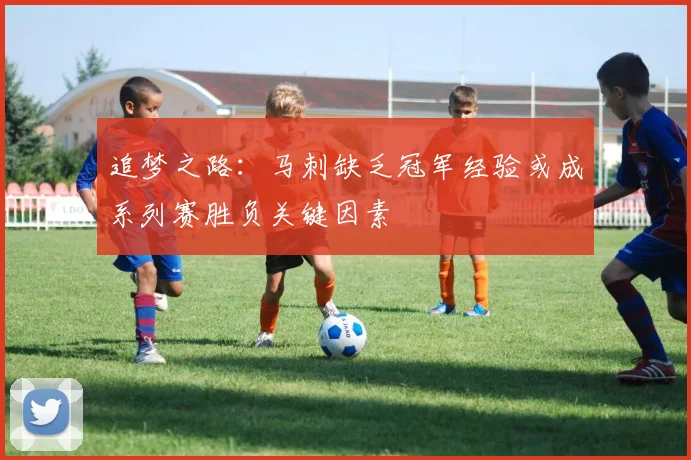 追梦之路：马刺缺乏冠军经验或成系列赛胜负关键因素
