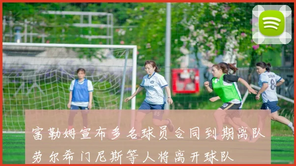 富勒姆宣布多名球员合同到期离队劳尔希门尼斯等人将离开球队